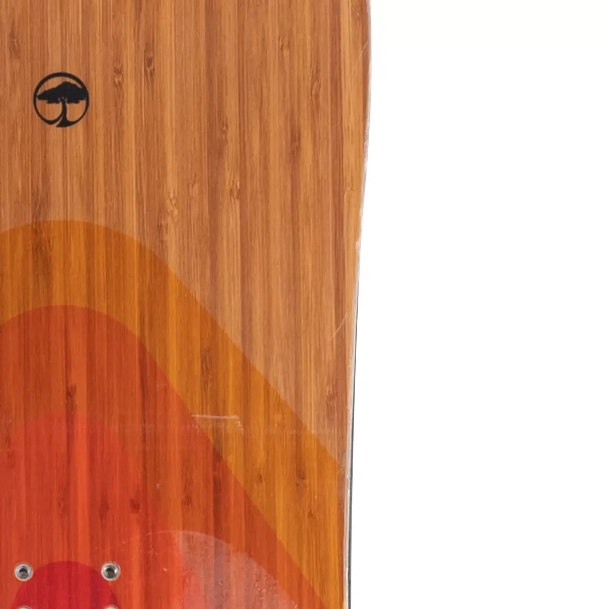Arbor Shiloh Camber Snowboard 2024