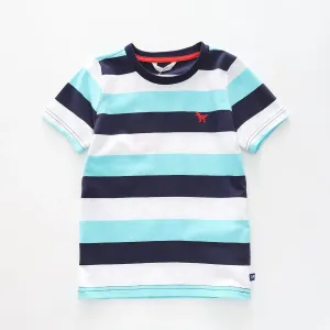 Boy's Navy and Sky Blue Striped T-Shirt