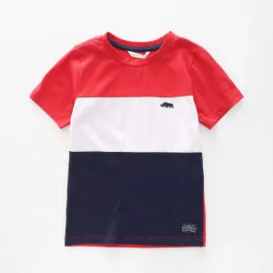 Boy's Navy Blue and Red Large Stripe T-Shirt
