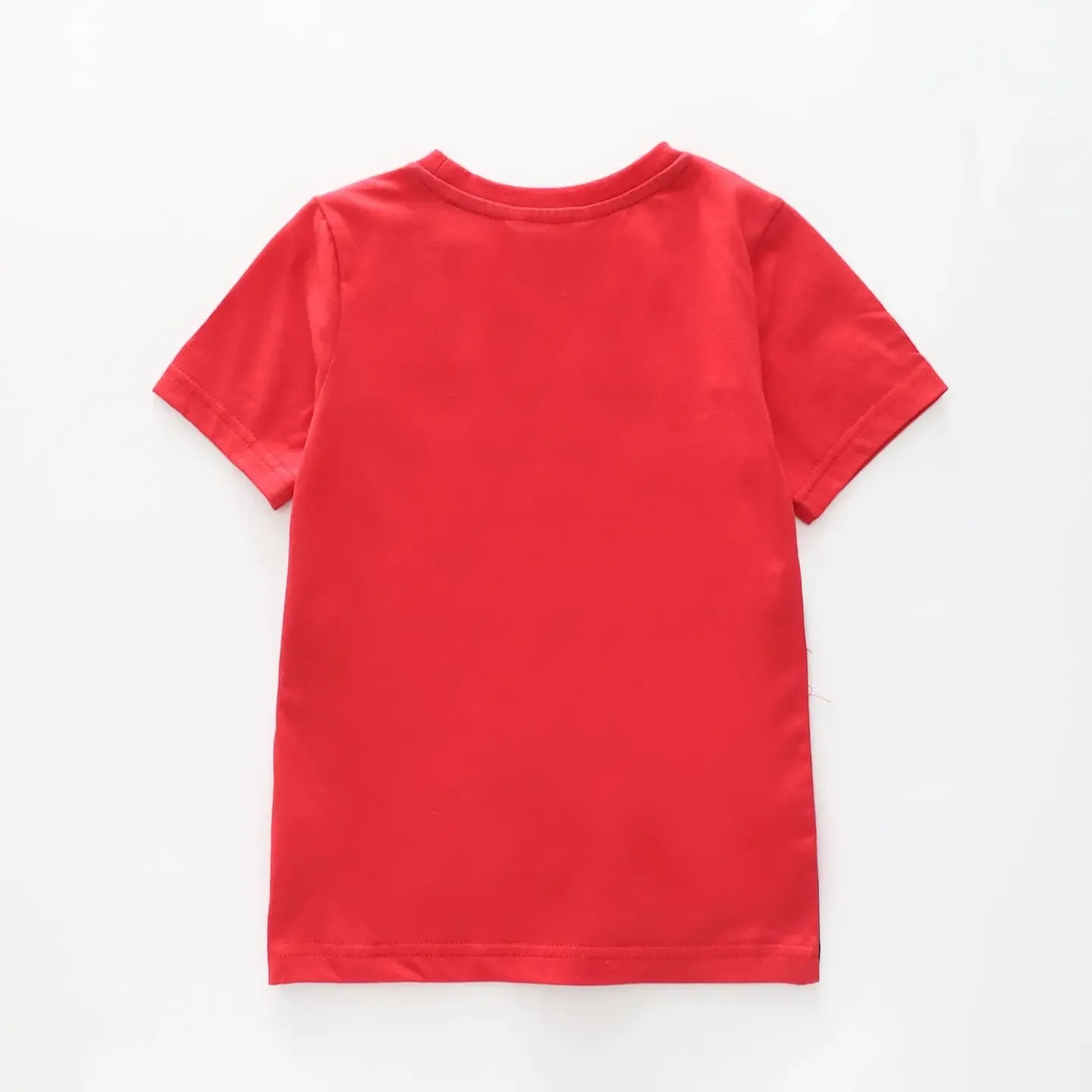 Boy's Navy Blue and Red Large Stripe T-Shirt