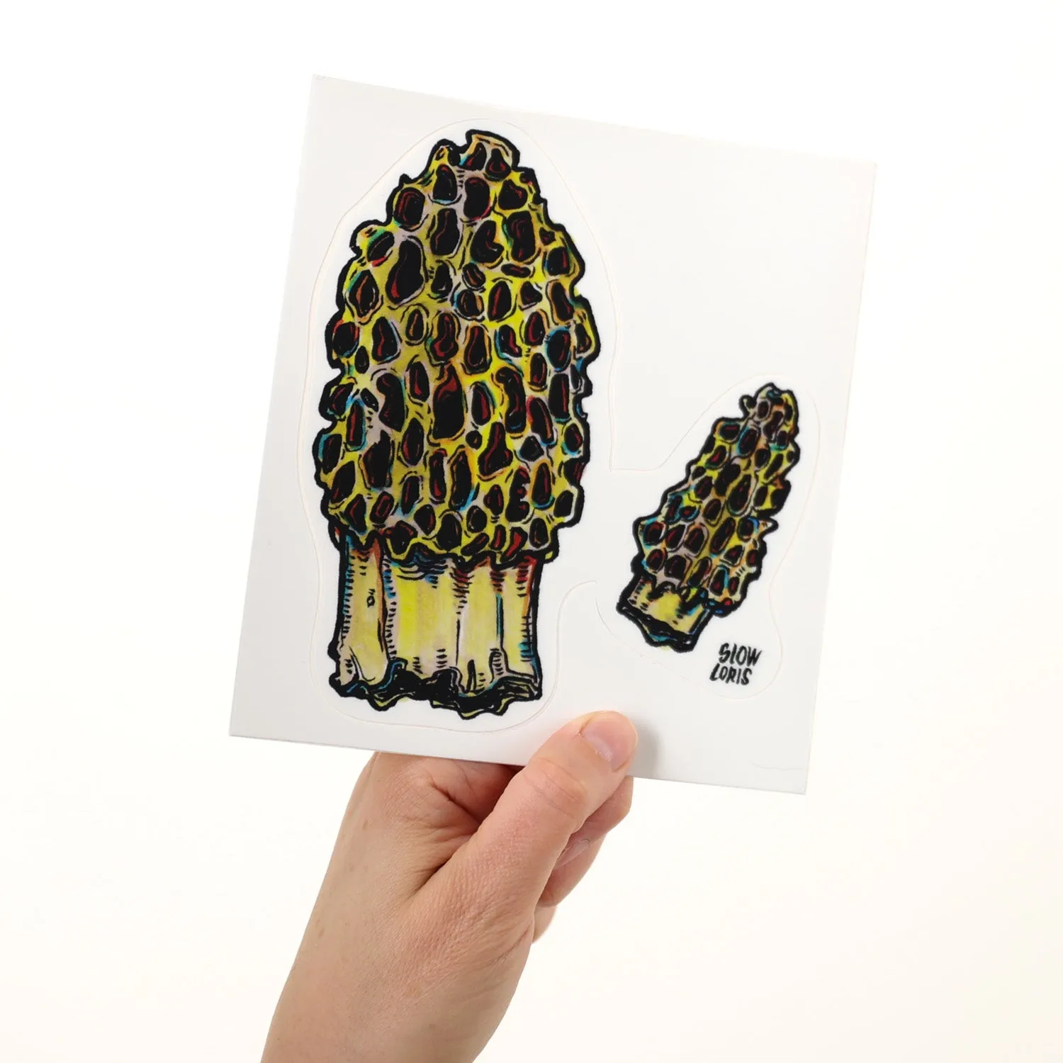 Morel Mushrooms Sticker