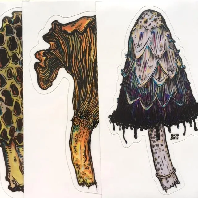 Morel Mushrooms Sticker