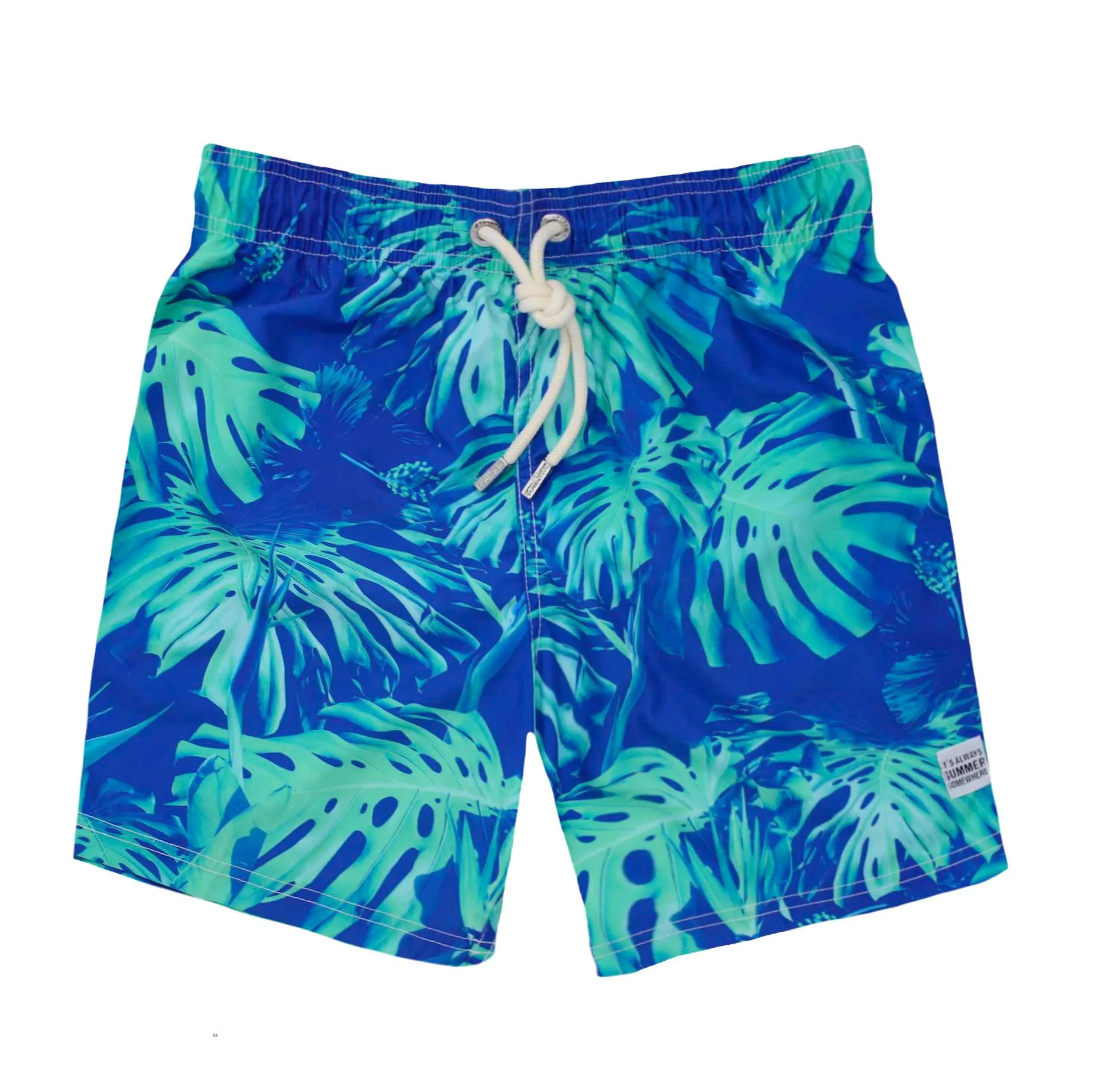 Tropical Leaves