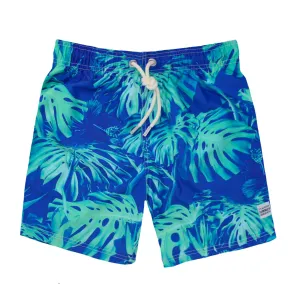 Tropical Leaves